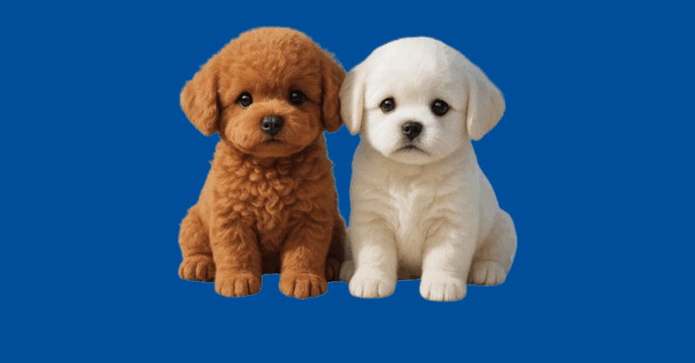 Wuffy Robot Puppy Review