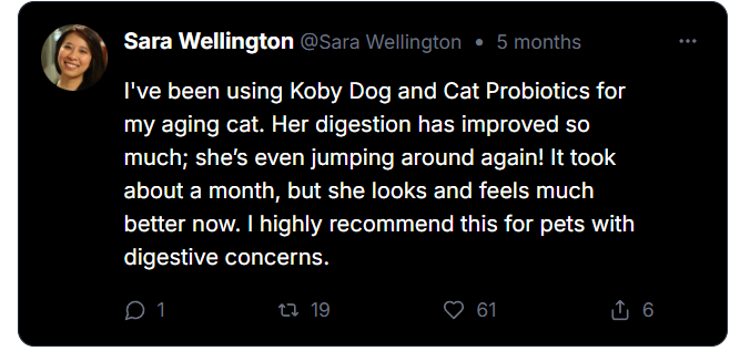 Koby Dog and Cat Probiotics Review